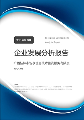 廣西桂林市智享信息技術咨詢服務有限責任公司企業發展分析報告
